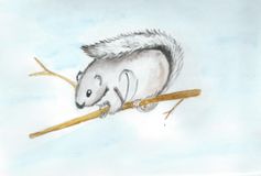 Белка летяга, рис. Богдановой Евдокии